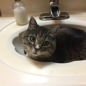 Meet your Posher, Choey